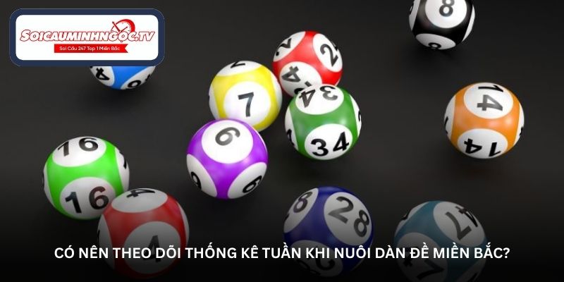 Có nên theo dõi thống kê tuần khi nuôi dàn đề miền Bắc?