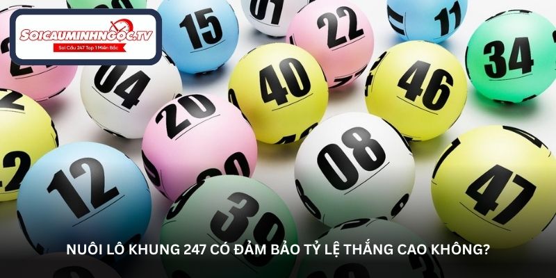 Nuôi lô khung 247 có đảm bảo tỷ lệ thắng cao không?