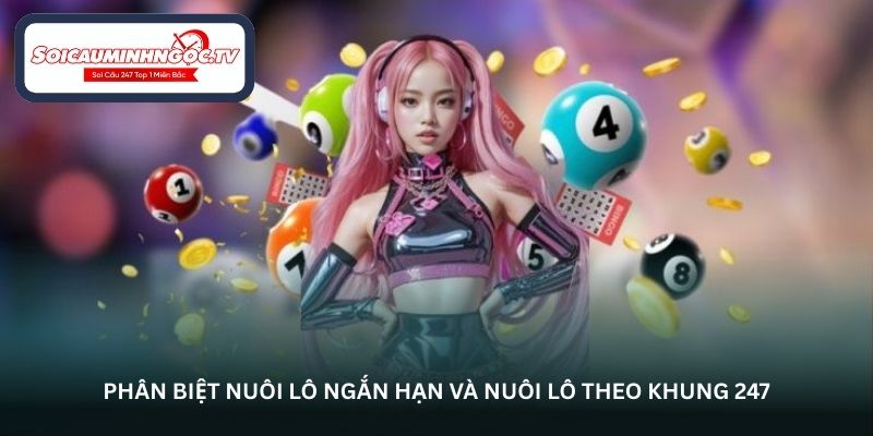 Phân biệt nuôi lô ngắn hạn và nuôi lô theo khung 247