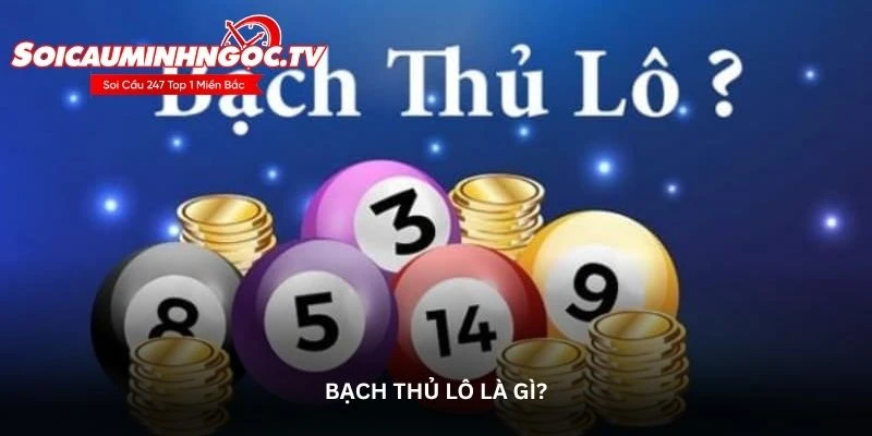 Bạch thủ lô là gì?
