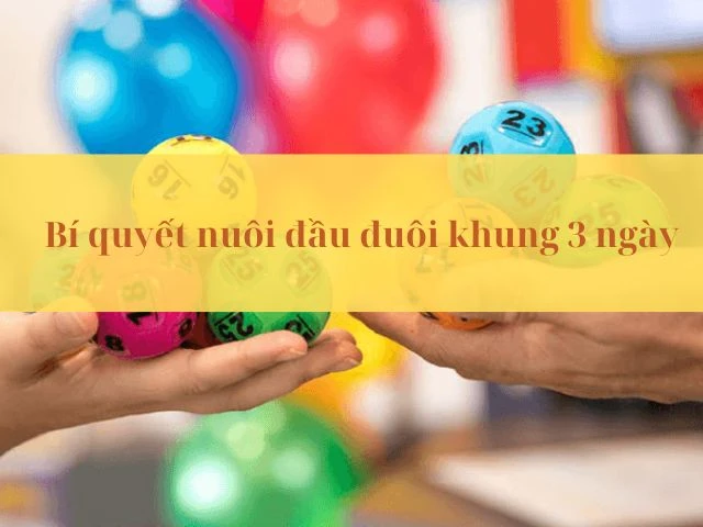 Bí quyết bỏ túi khi nuôi đầu đuôi khung 3 ngày