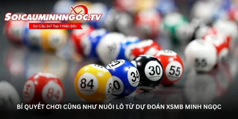 Bí quyết chơi cũng như nuôi lô từ dự đoán XSMB Minh Ngọc