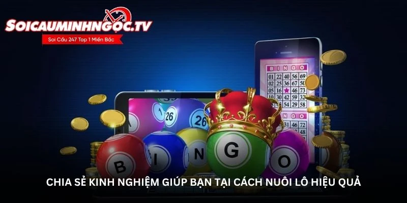 Chia sẻ kinh nghiệm giúp bạn tại cách nuôi lô hiệu quả