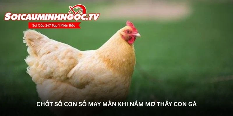 Chốt số con số may mắn khi nằm mơ thấy con gà