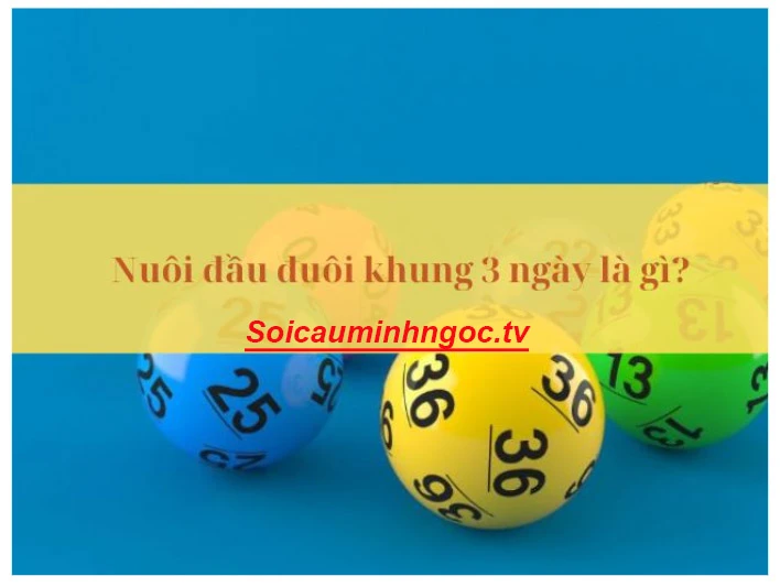 Nuôi đầu đuôi khung 3 ngày chiến thắng vào bờ thành công