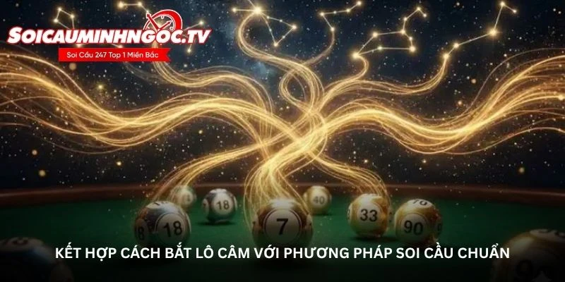 Kết hợp cách bắt lô câm với phương pháp soi cầu chuẩn