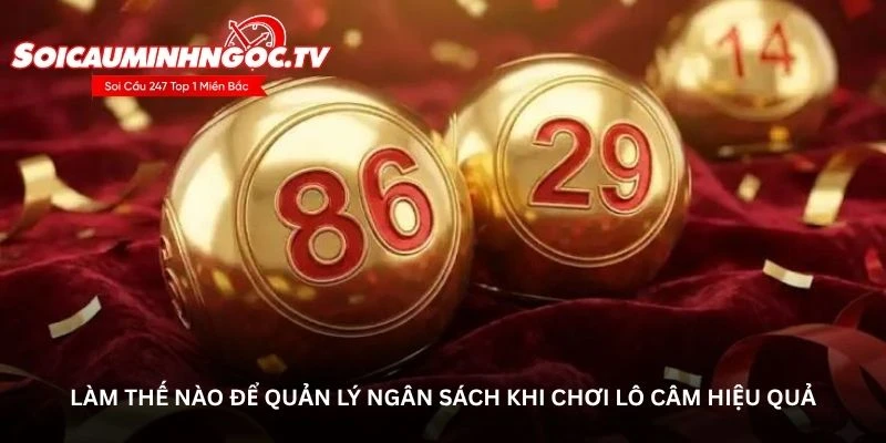 Làm thế nào để quản lý ngân sách khi chơi lô câm hiệu quả