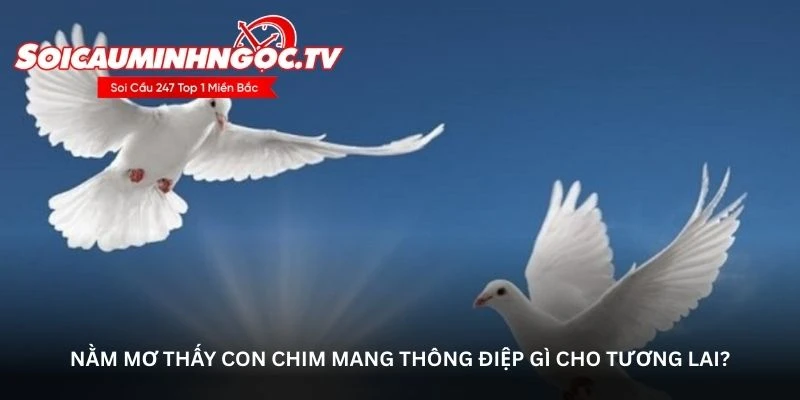 Nằm mơ thấy con chim mang thông điệp gì cho tương lai?