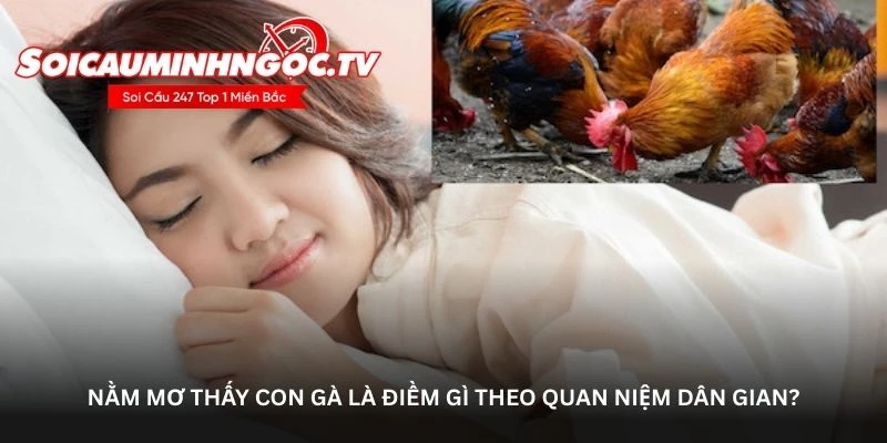 Nằm mơ thấy con gà là điềm gì theo quan niệm dân gian?