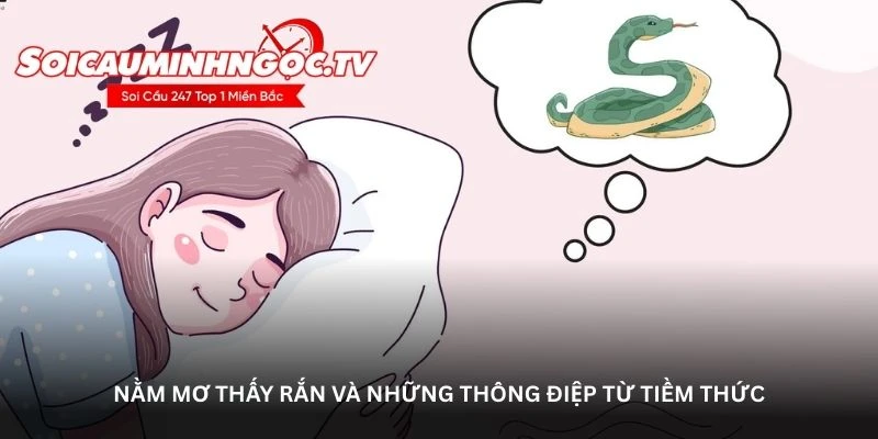 Nằm mơ thấy rắn và những thông điệp từ tiềm thức