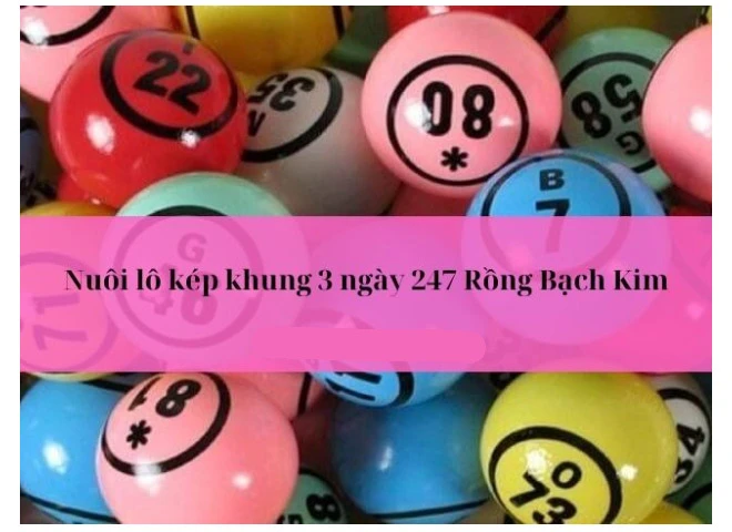 Phương pháp nuôi lô kép khung 3 ngày 247 Rồng Bạch Kim hiệu quả cao 