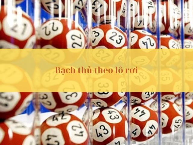 Soi bạch thủ dựa vào lô rơi