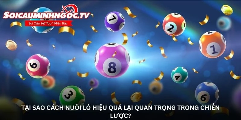 Tại sao cách nuôi lô hiệu quả lại quan trọng trong chiến lược?