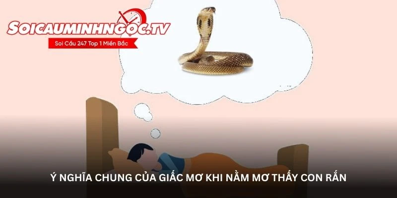 Ý nghĩa chung của giấc mơ khi nằm mơ thấy con rắn