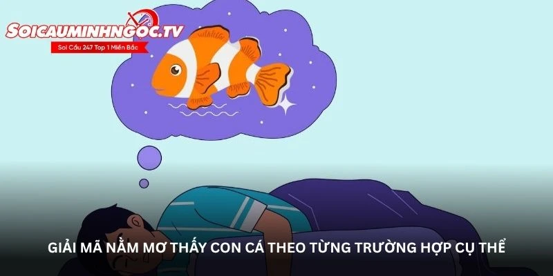Giải mã nằm mơ thấy con cá theo từng trường hợp cụ thể