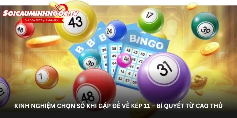 Kinh nghiệm chọn số khi gặp đề về kép 11 – Bí quyết từ cao thủ