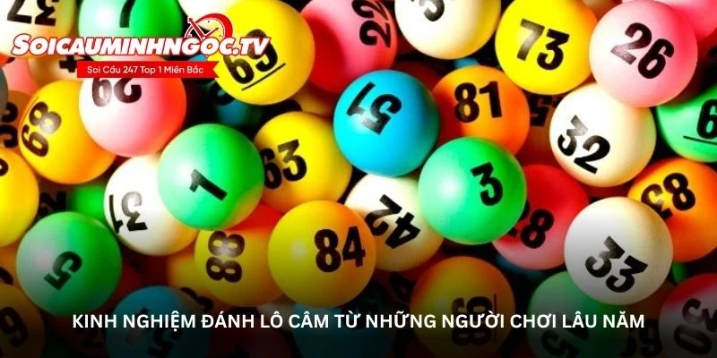 Kinh nghiệm đánh lô câm từ những người chơi lâu năm