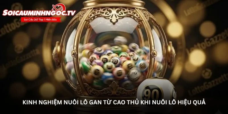 Kinh nghiệm nuôi lô gan từ cao thủ khi nuôi lô hiệu quả