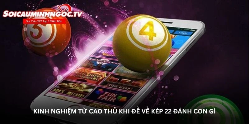 Kinh nghiệm từ cao thủ khi Đề về kép 22 đánh con gì