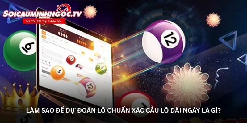 Làm sao để dự đoán lô chuẩn xác cầu lô dài ngày là gì?