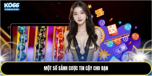 Một số sảnh cược tin cậy cho bạn