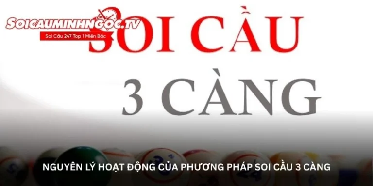 Cách soi cầu 3 càng – Bí quyết được nhiều người áp dụng