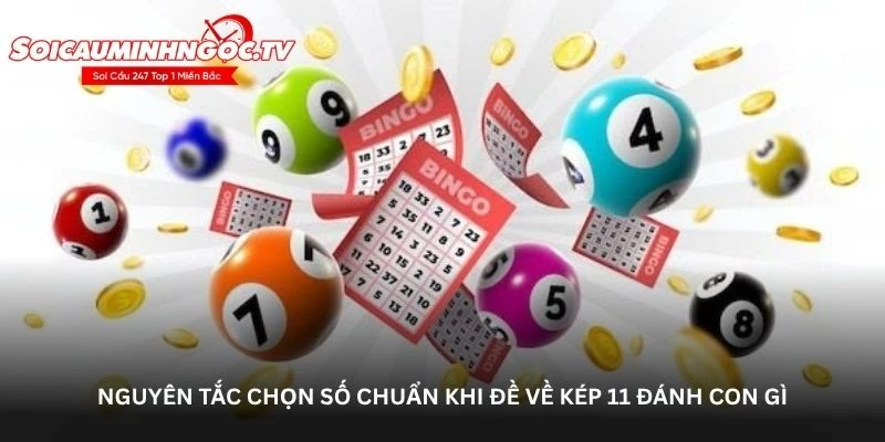 Nguyên tắc chọn số chuẩn khi đề về kép 11 đánh con gì